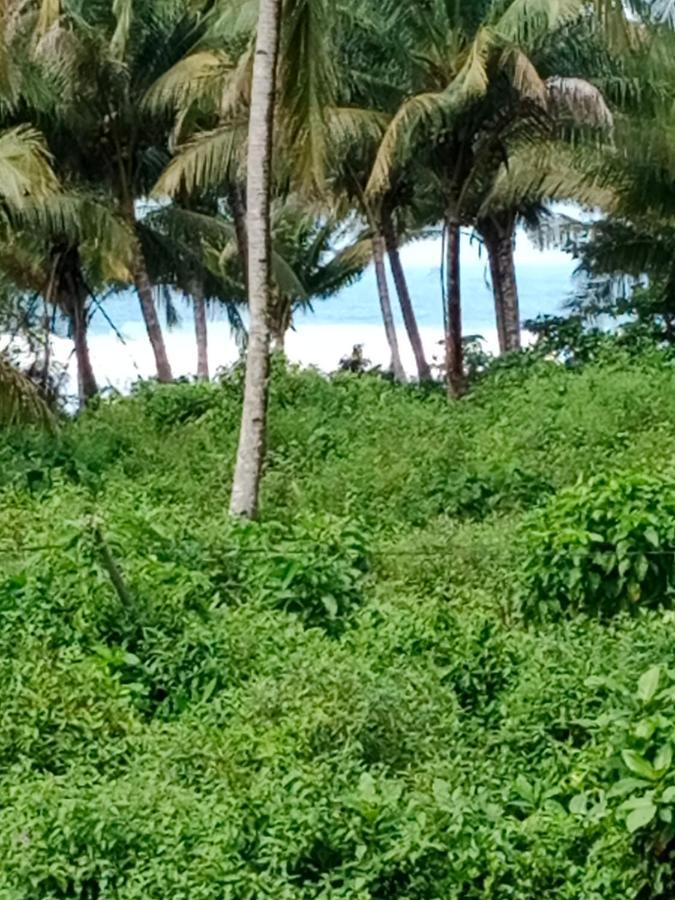 Rumah Nalu Surf Camp Krui 外观 照片