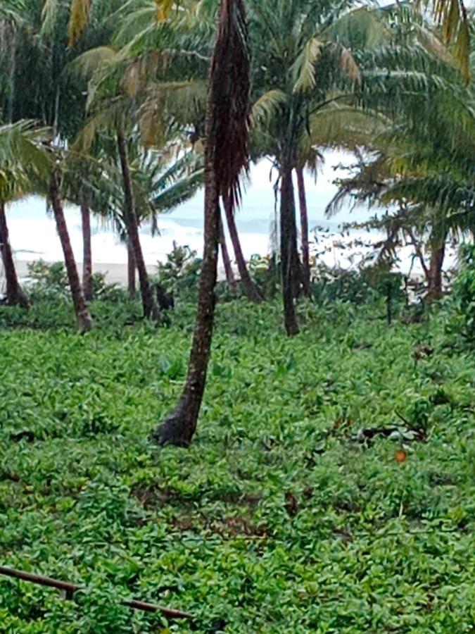 Rumah Nalu Surf Camp Krui 外观 照片